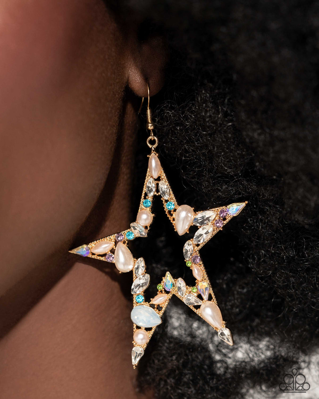 Paparazzi - Variegated Value - Multi Earring