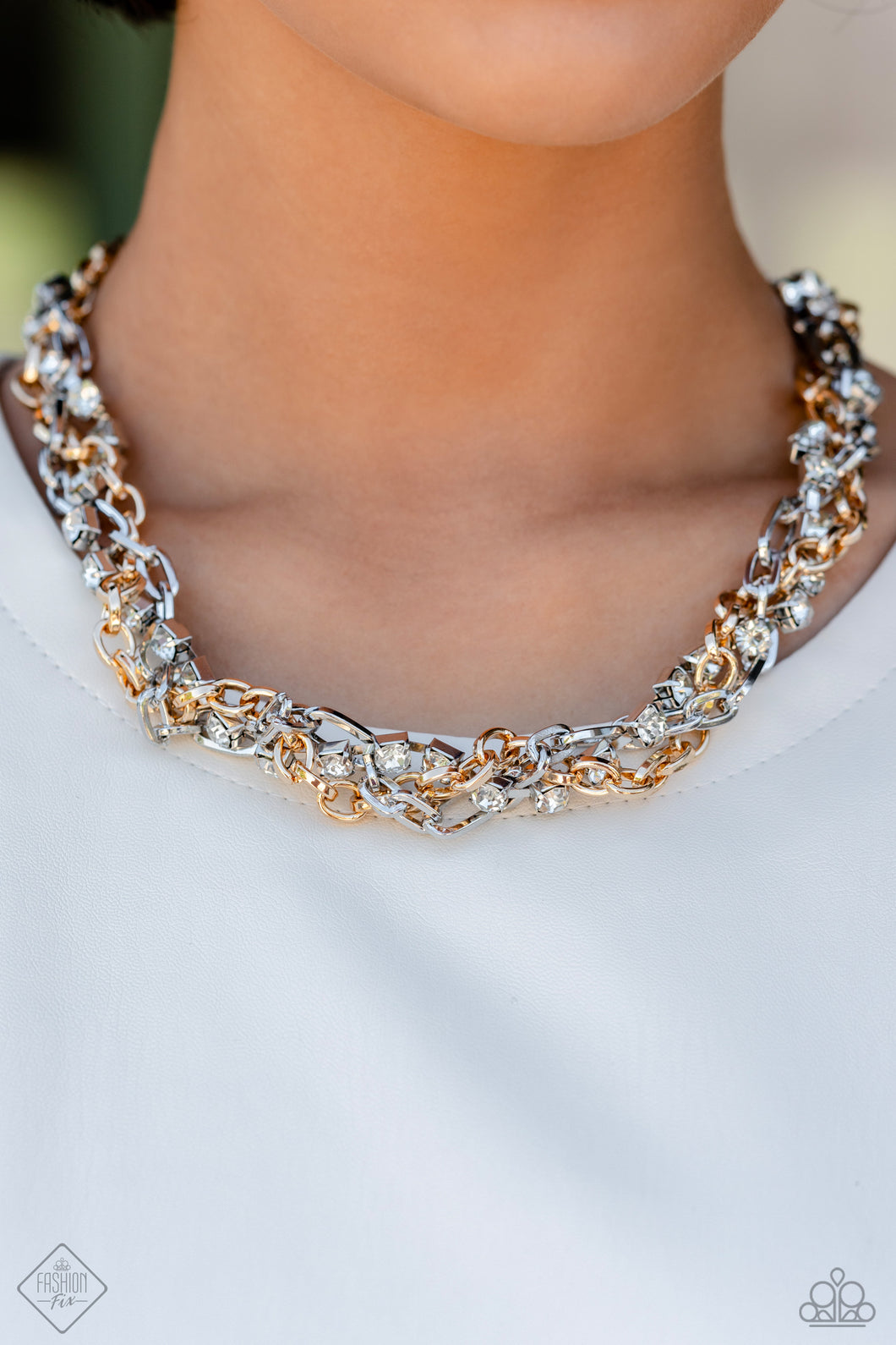 Paparazzi - Totally Two-Toned - Multi Necklace